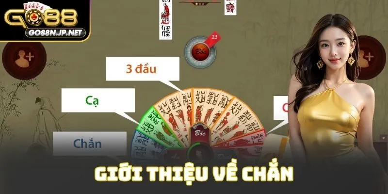 Giới thiệu về chắn