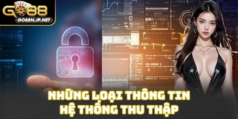 Những loại thông tin hệ thống thu thập